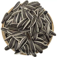 2020 Raw Sunflower Seeds 361 with good Quality